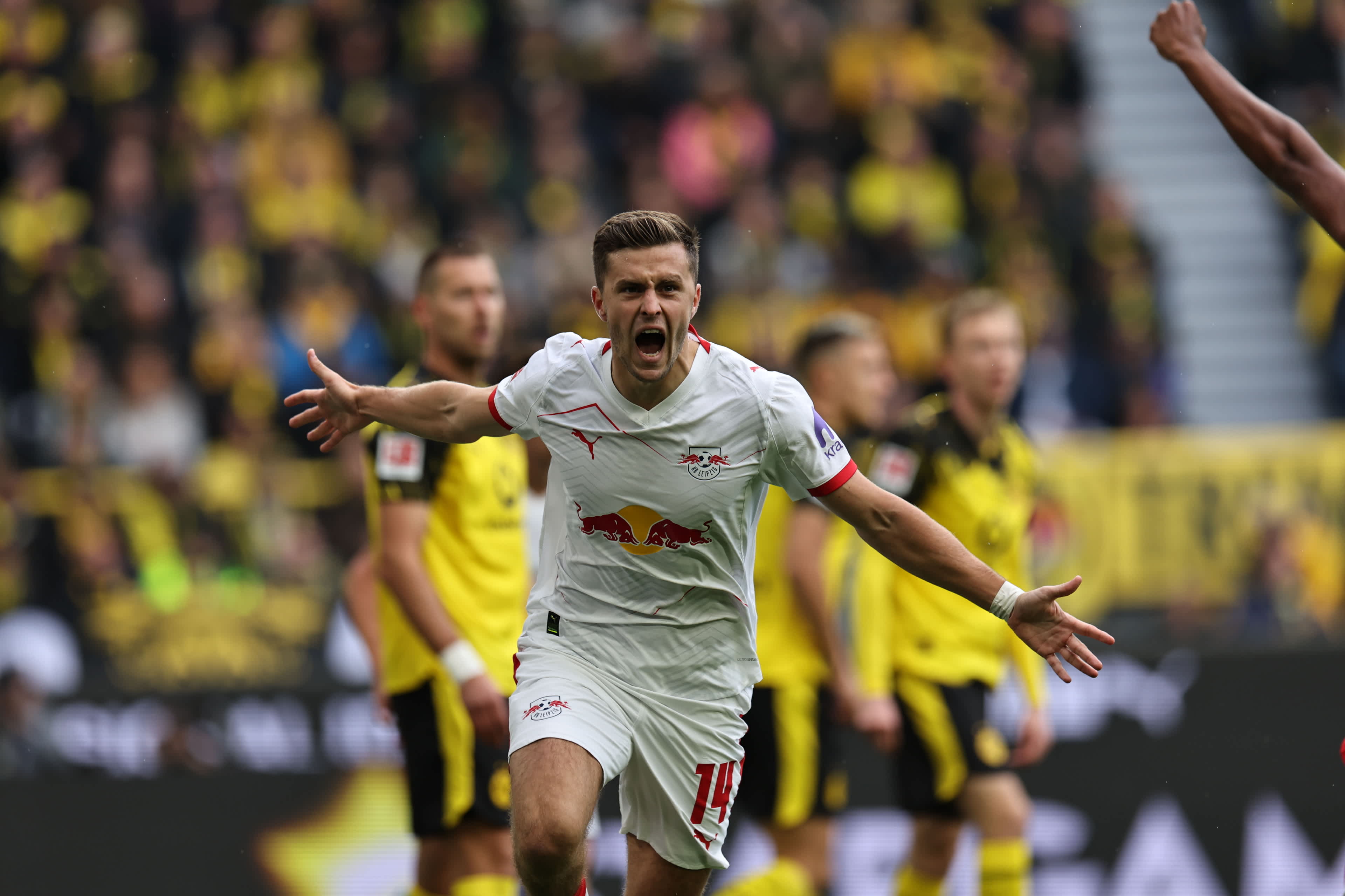 #BVBRBL highlights